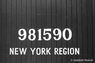 981590, New York Region