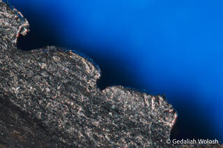 Blue-Toothed Edge