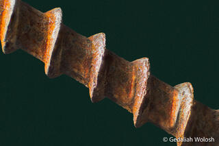 Helix of Rust