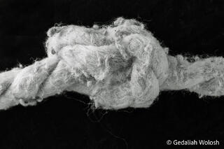 Weathered Knot