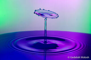 Floating Disc