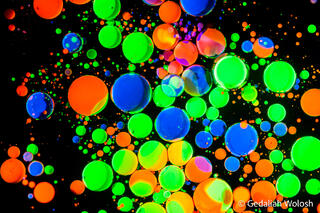 Collision Field