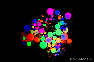 Fluorescent Bloom