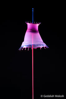 Bell of Convergence