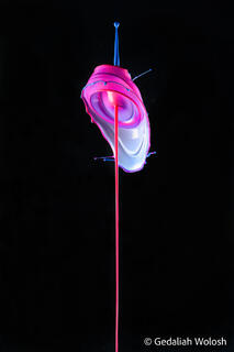  Vortex Underside