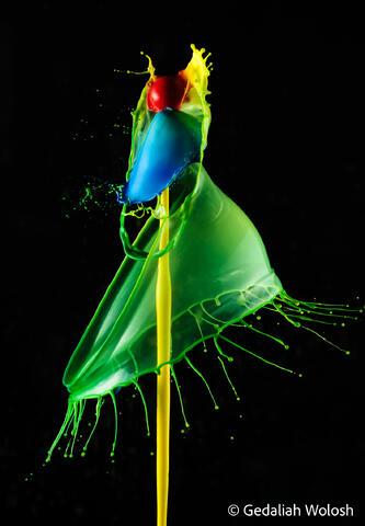 Water Drop Collisions 