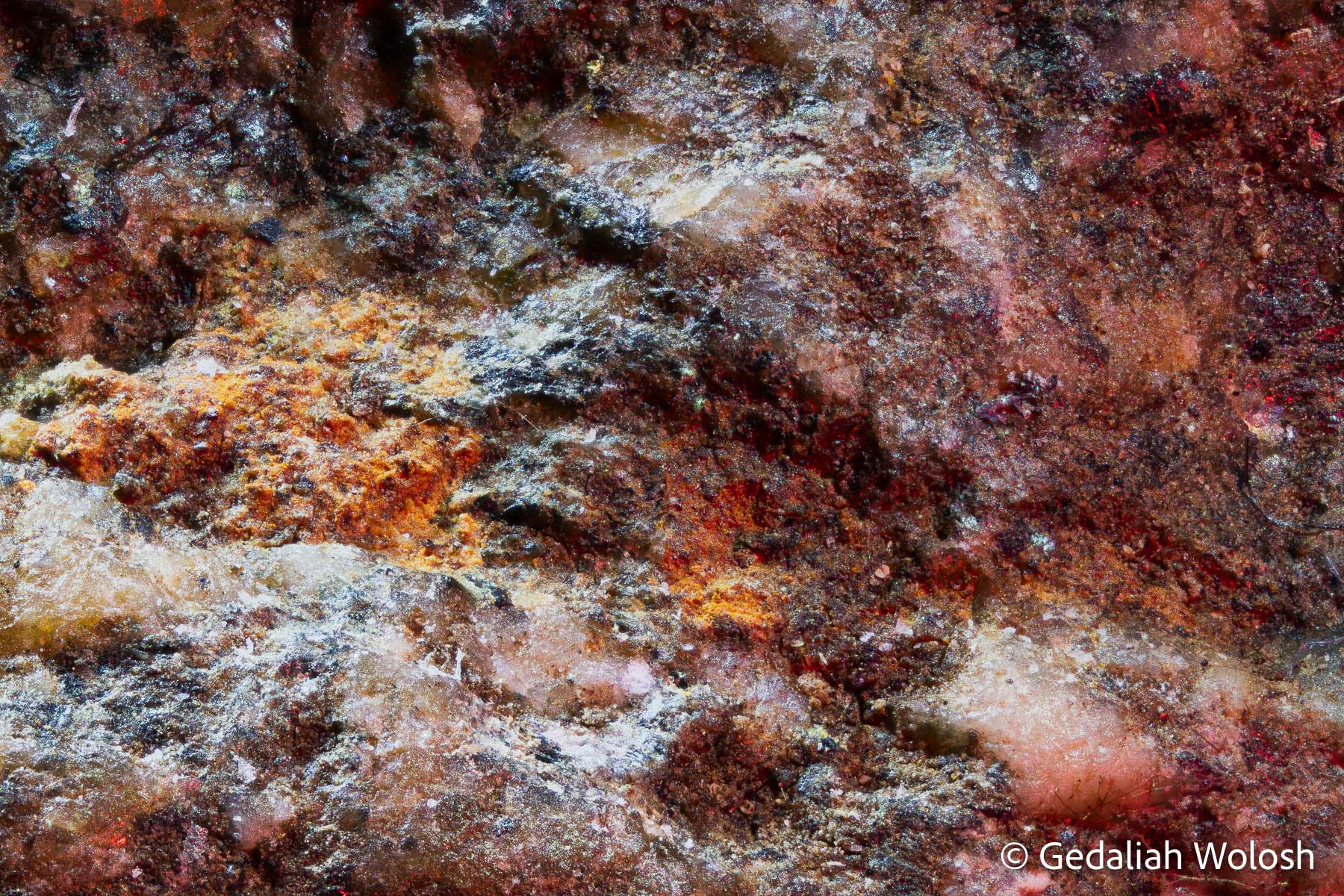 Pea Gravel A close-up view of pea gravel, revealing its intricate textures and mineral composition. Captured at 8x magnification.