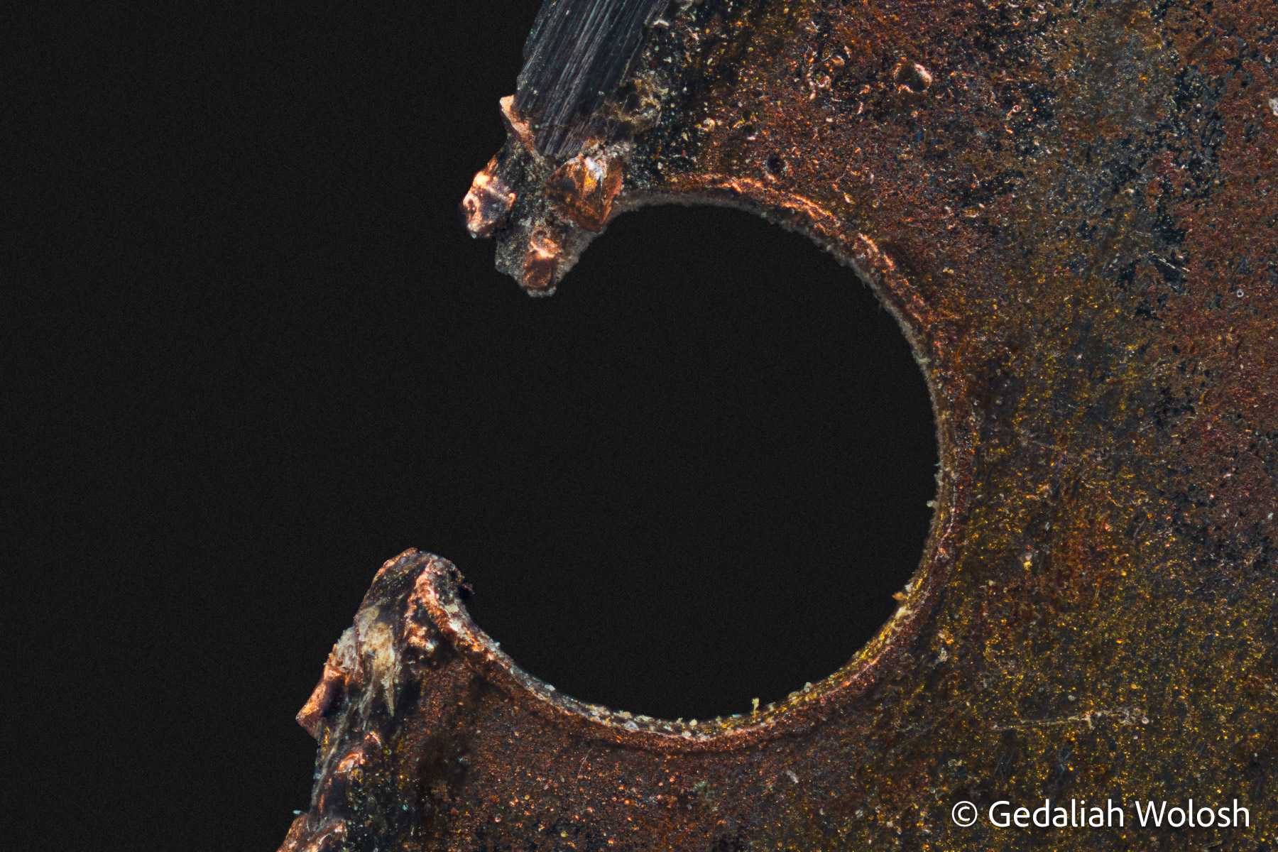 The Void Within A well-used Dremel saw blade is transformed into an abstract study of geometry, wear, and time. At high magnification, the precision...