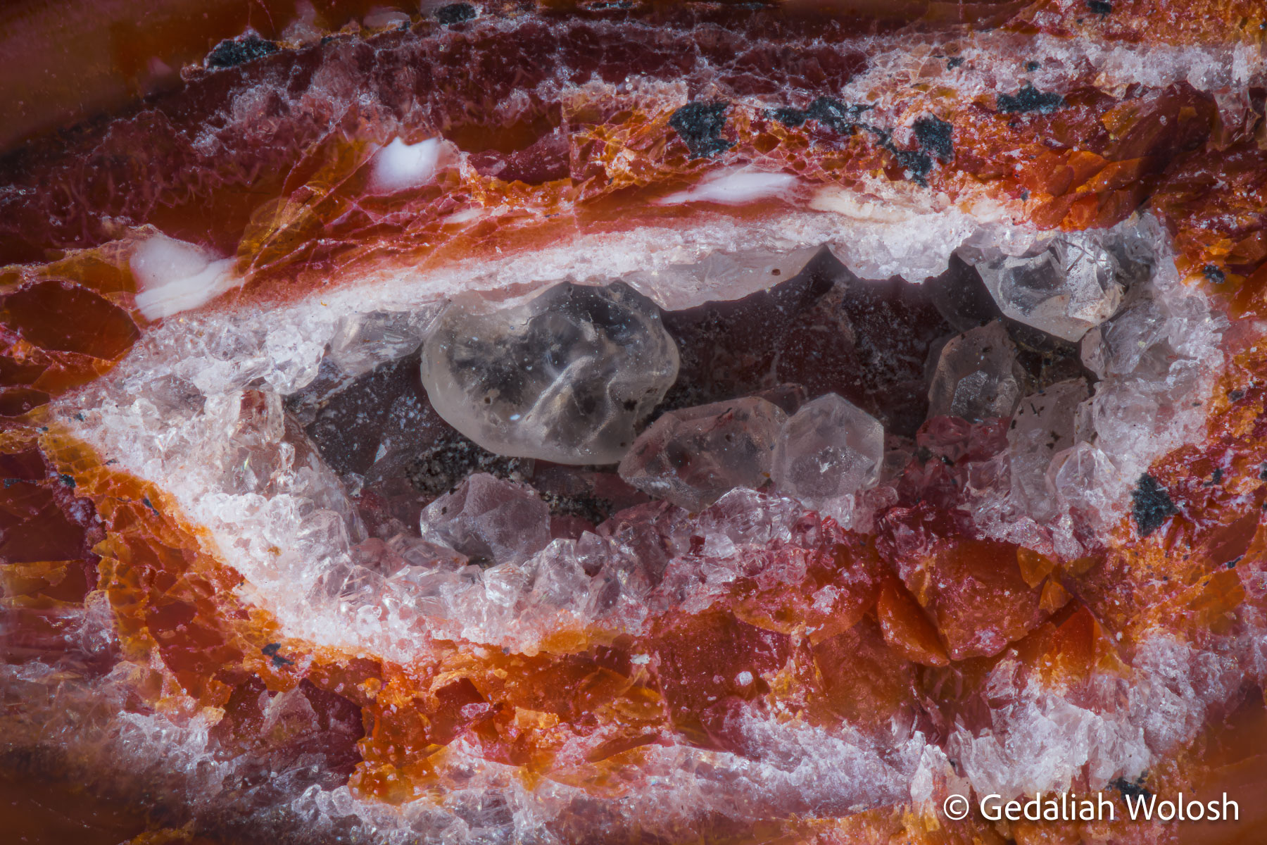 Crystalline Hollow A small crystal-lined cavity opens within layers of rust-red, white, and gray stone.
