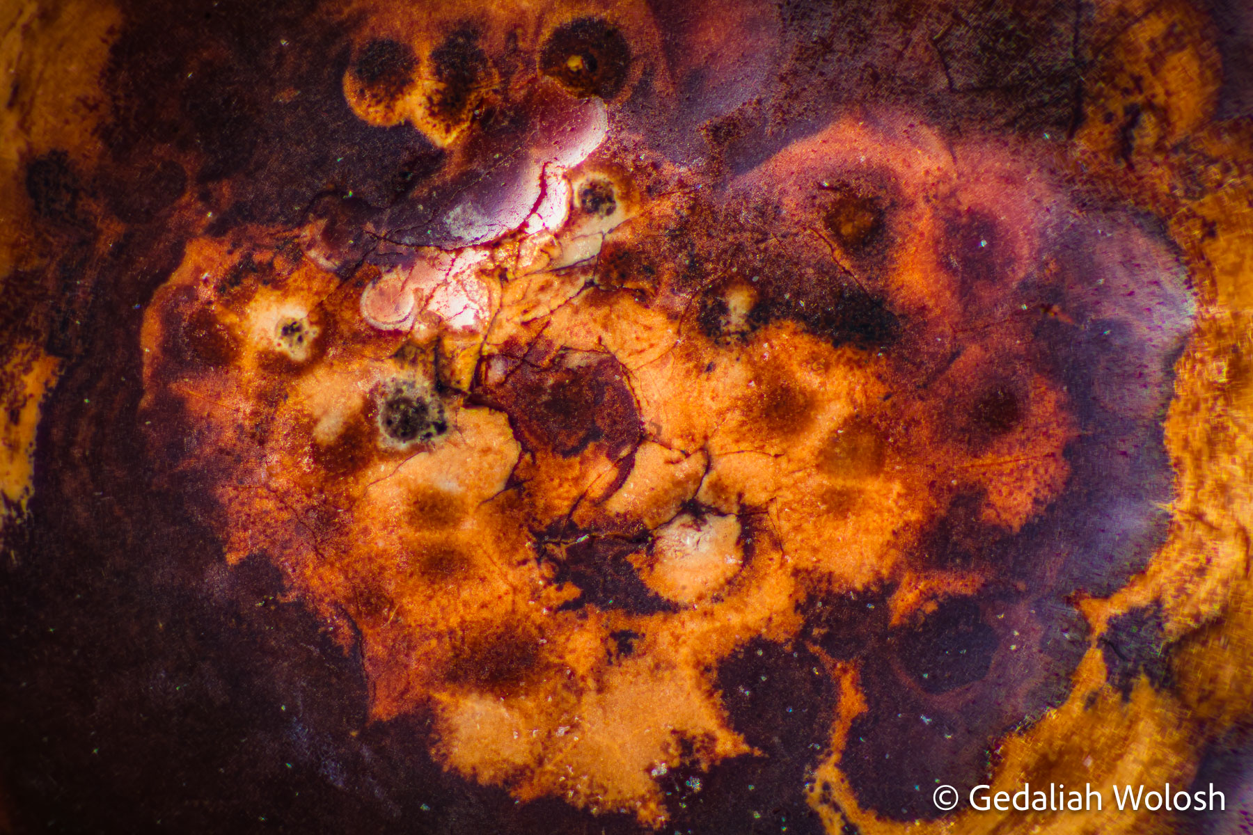 Violet and Ember Violet and burnt-orange formations gather around a richly patterned center.