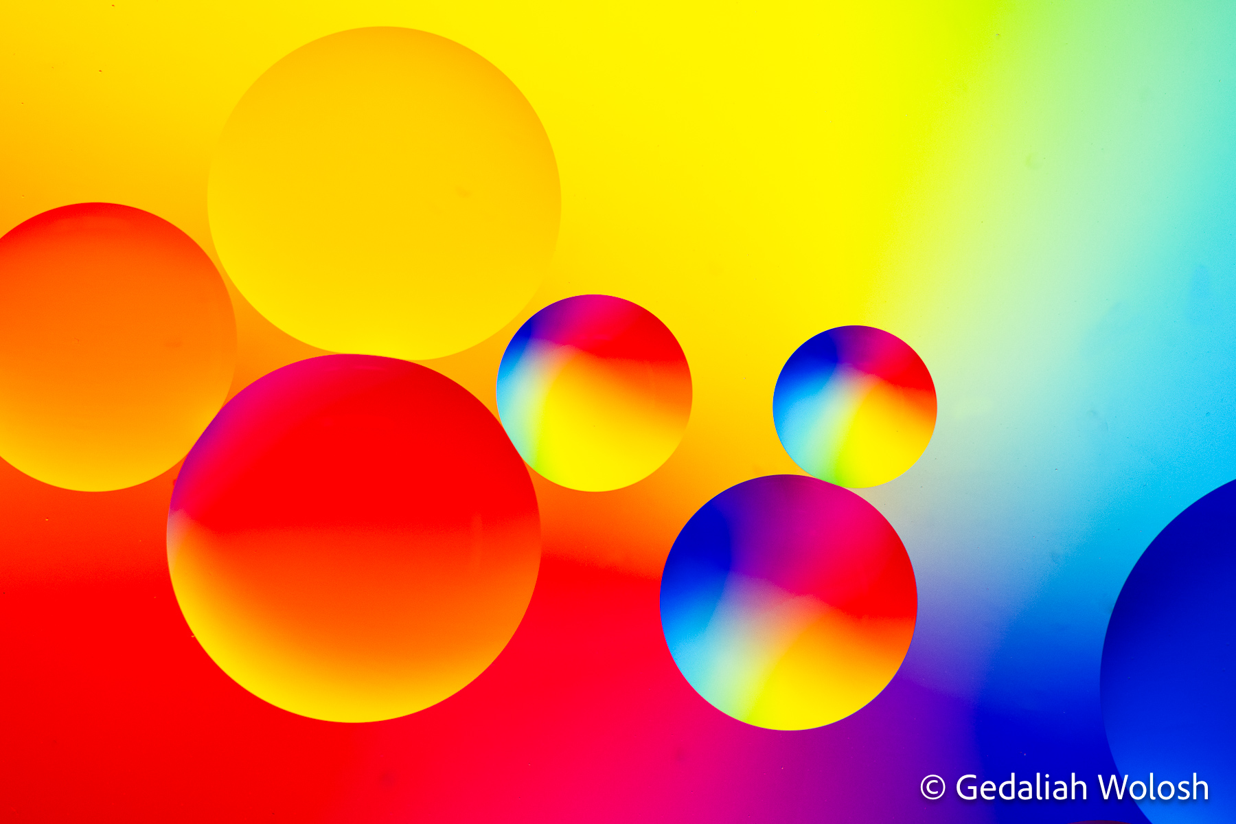 Drifting Spheres Suspended oil droplets form a delicate arrangement, floating effortlessly on the water’s surface.