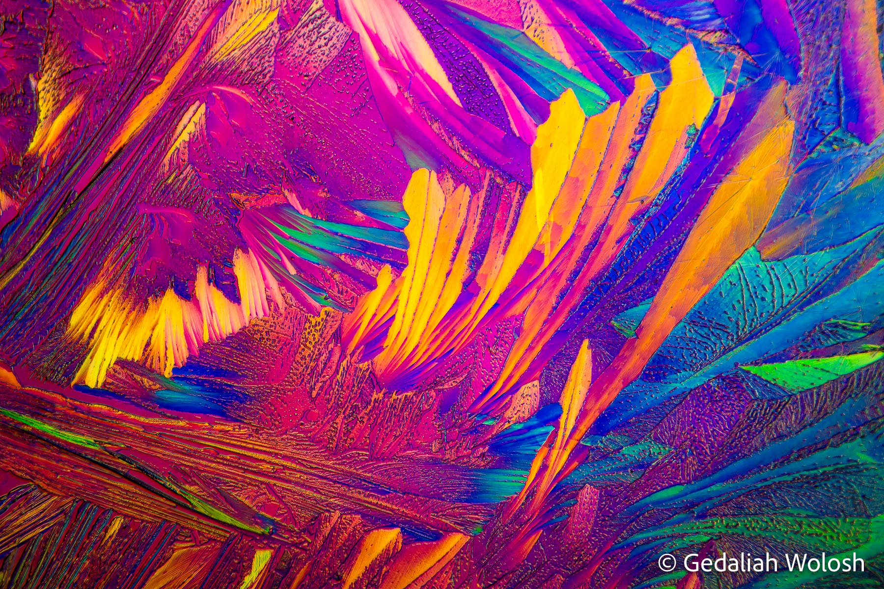 Glutamine This image captures the crystalline structures of glutamine formed through evaporation and heat, viewed under cross-polarized...