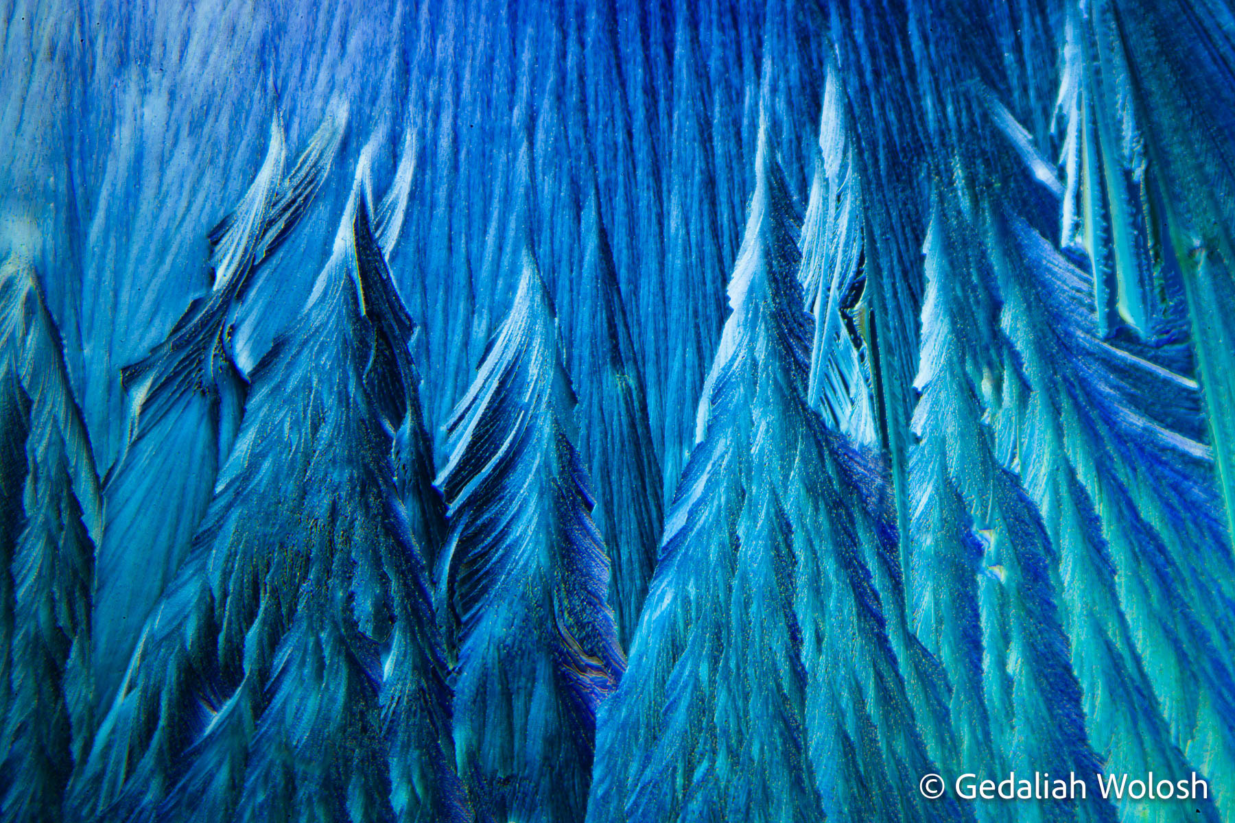 Lidocaine This image, taken at 40x magnification under cross-polarized light, captures the crystalline structures of lidocaine, a local...