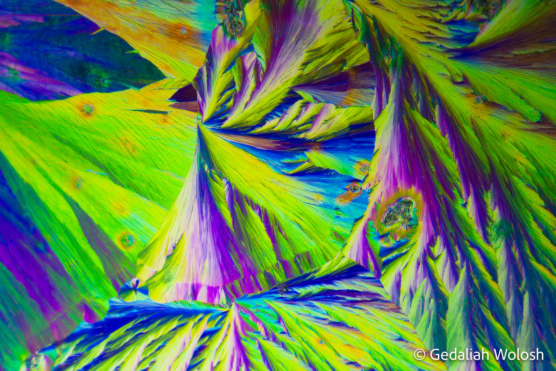 Tylenol This image, taken at 40x magnification under cross-polarized light, captures the crystalline structures of Tylenol (acetaminophen...