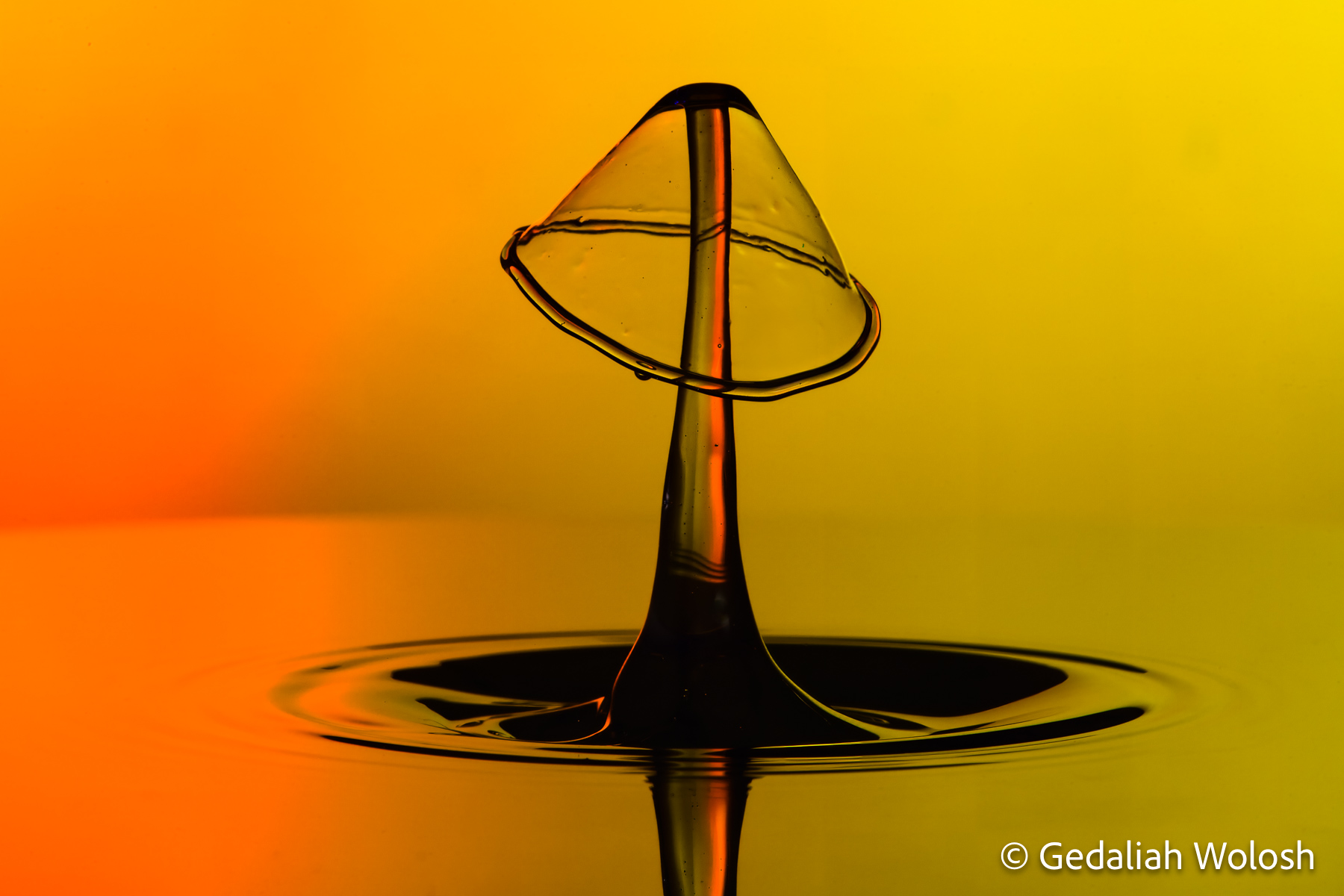 Liquid Mushroom A water droplet collision forms a mushroom-like structure, with a smooth, translucent cap and a slender stem rising from the...