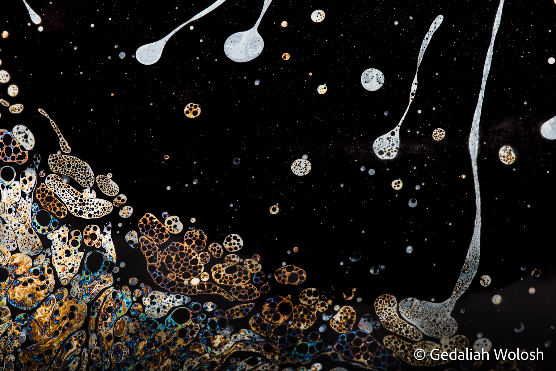 Encroachment Cellular structures advance into a field of darkness while suspended droplets drift overhead. Created within a soap film only...