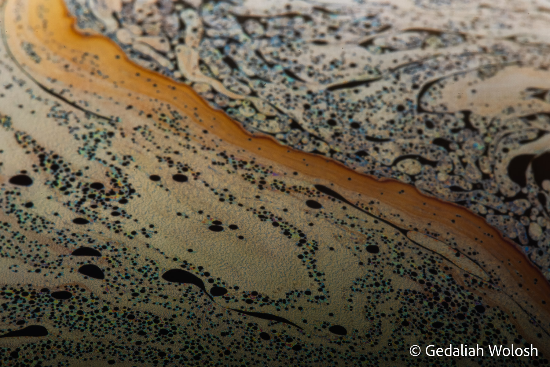 Desert Divide A narrow band of concentrated liquid separates two distinct regions of the bubble surface. The resulting composition suggests...