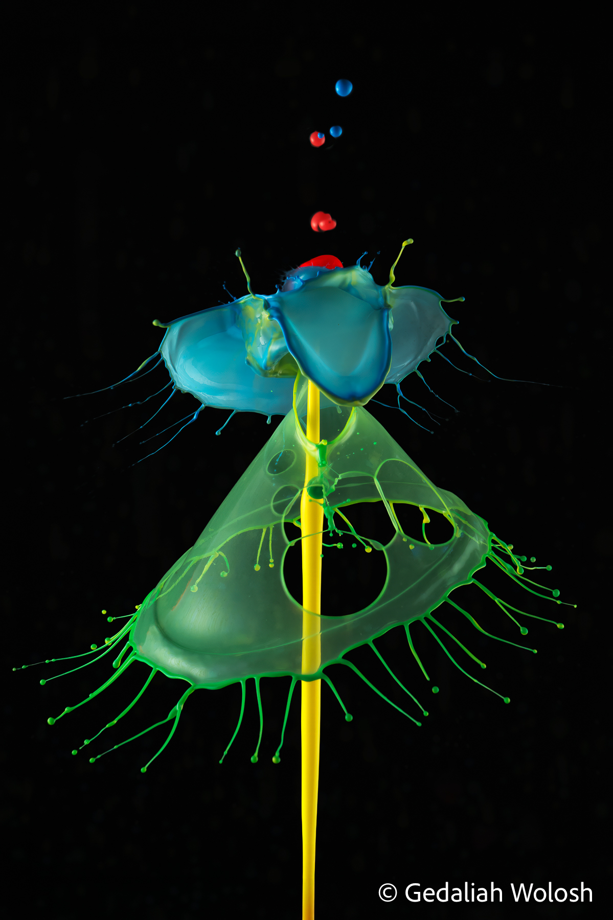 Perforated Canopy A fleeting collision produces a translucent membrane punctuated by naturally formed openings while multiple colored drops merge...