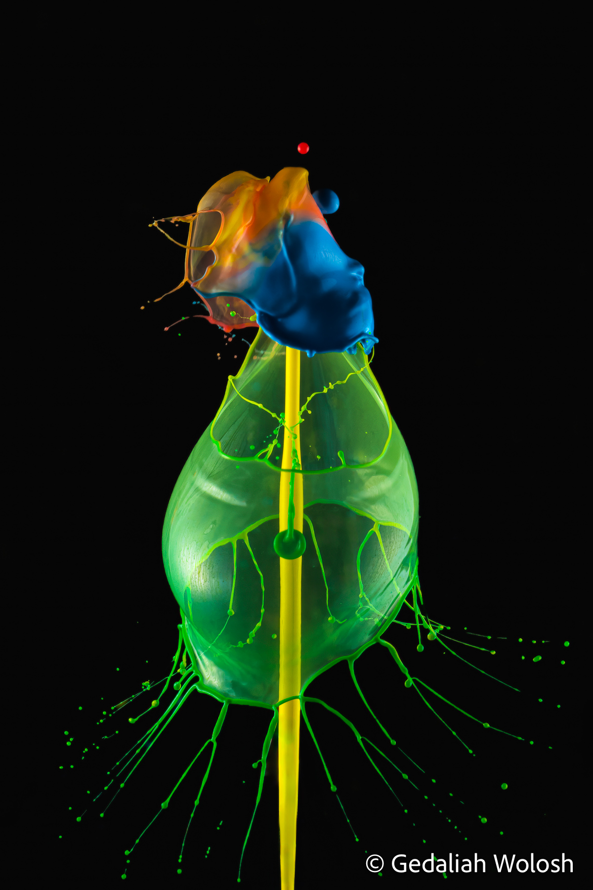 Glass Vessel Multiple colored collisions combine to create a vessel-like form enclosing the rising liquid column. The image transforms a brief...